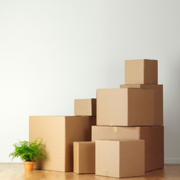 Déménager sans effrayer son chiropraticien